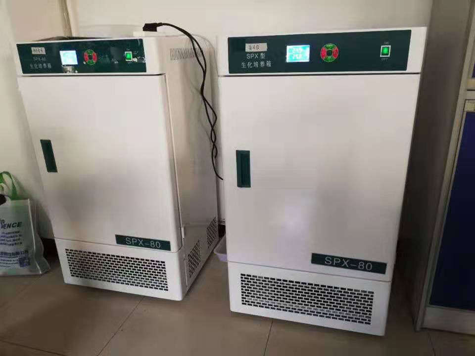 Ketepatan Makmal Ketepatan Biokimia Inkubator Coled BOD Inkubator Dingin
